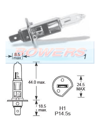 Ring Bulb 12v 55w H1 R448